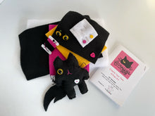 Load image into Gallery viewer, Create Your Own Kitten Kit